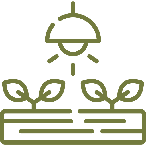 Lighting icon