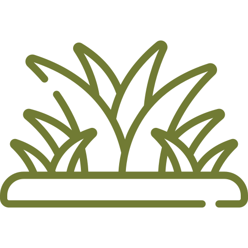 Grass icon