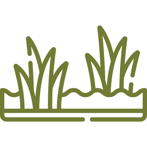 Grass icon